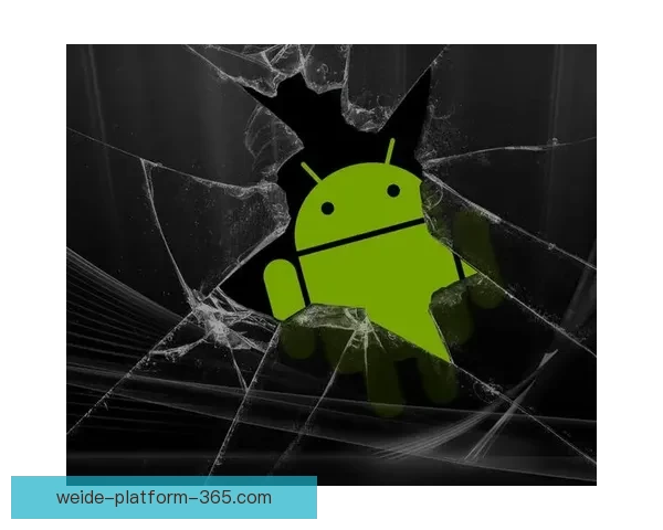 最新版伟德APP官方下载与安全安装全指南详细解析