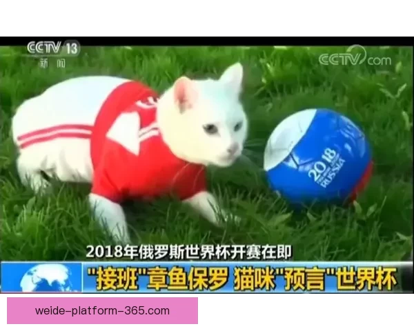 世界杯足球竞猜入口全新指南助你轻松掌握赛场胜负预测技巧